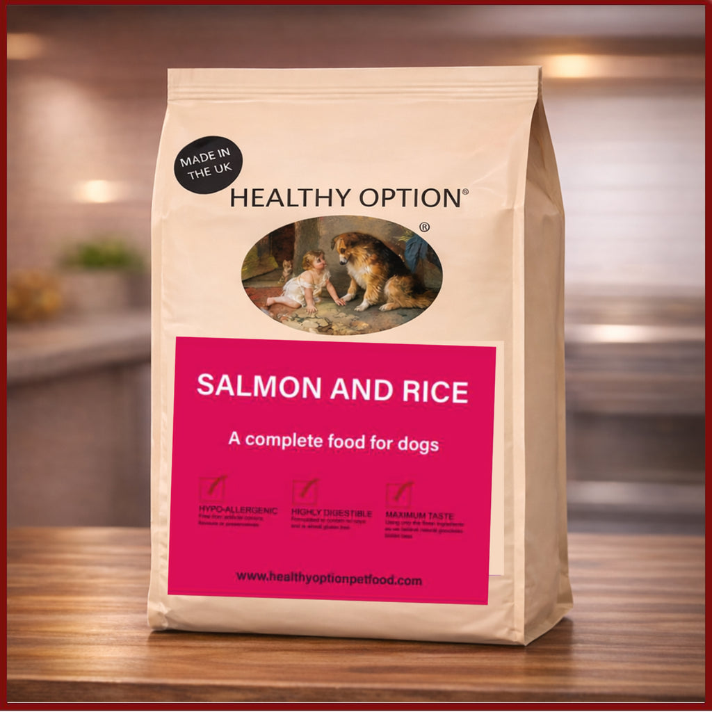 Healthy Option Salmon & Rice Hypoallergenic Dog Food