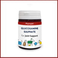 Glucosamine Sulphate 500mg