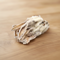Hairy Rabbit Ears on Natural Background
