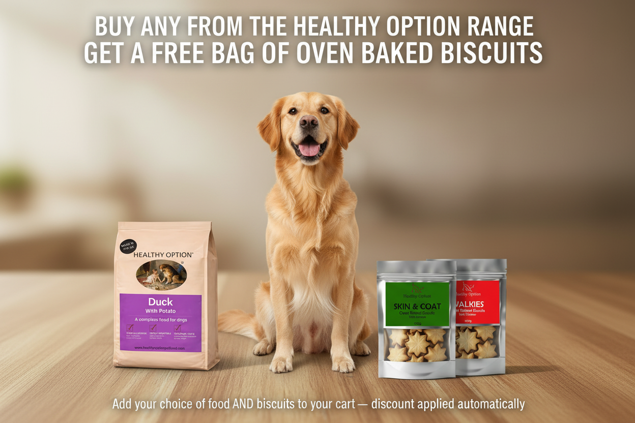 Healthy Option Free Biscuits Landscape Poster
