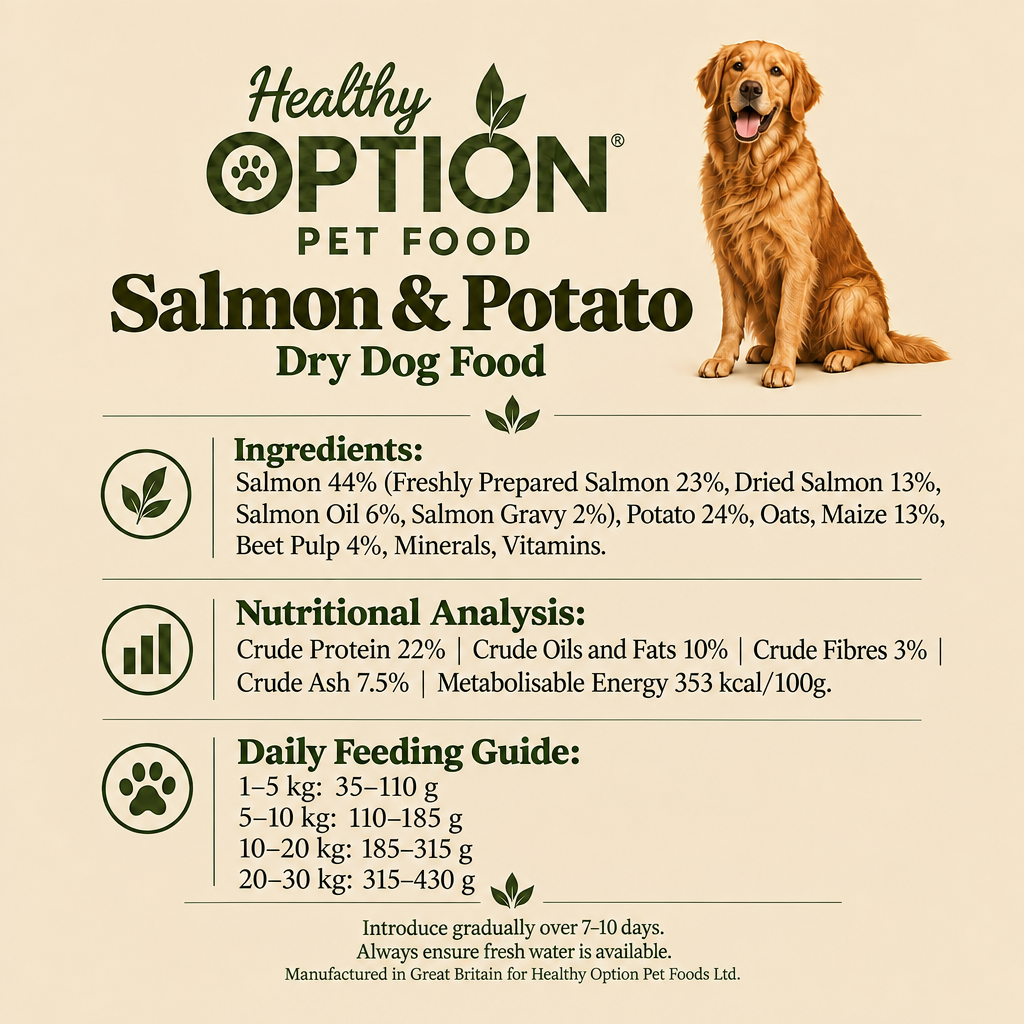 Square Healthy Option Salmon and Potato information graphic