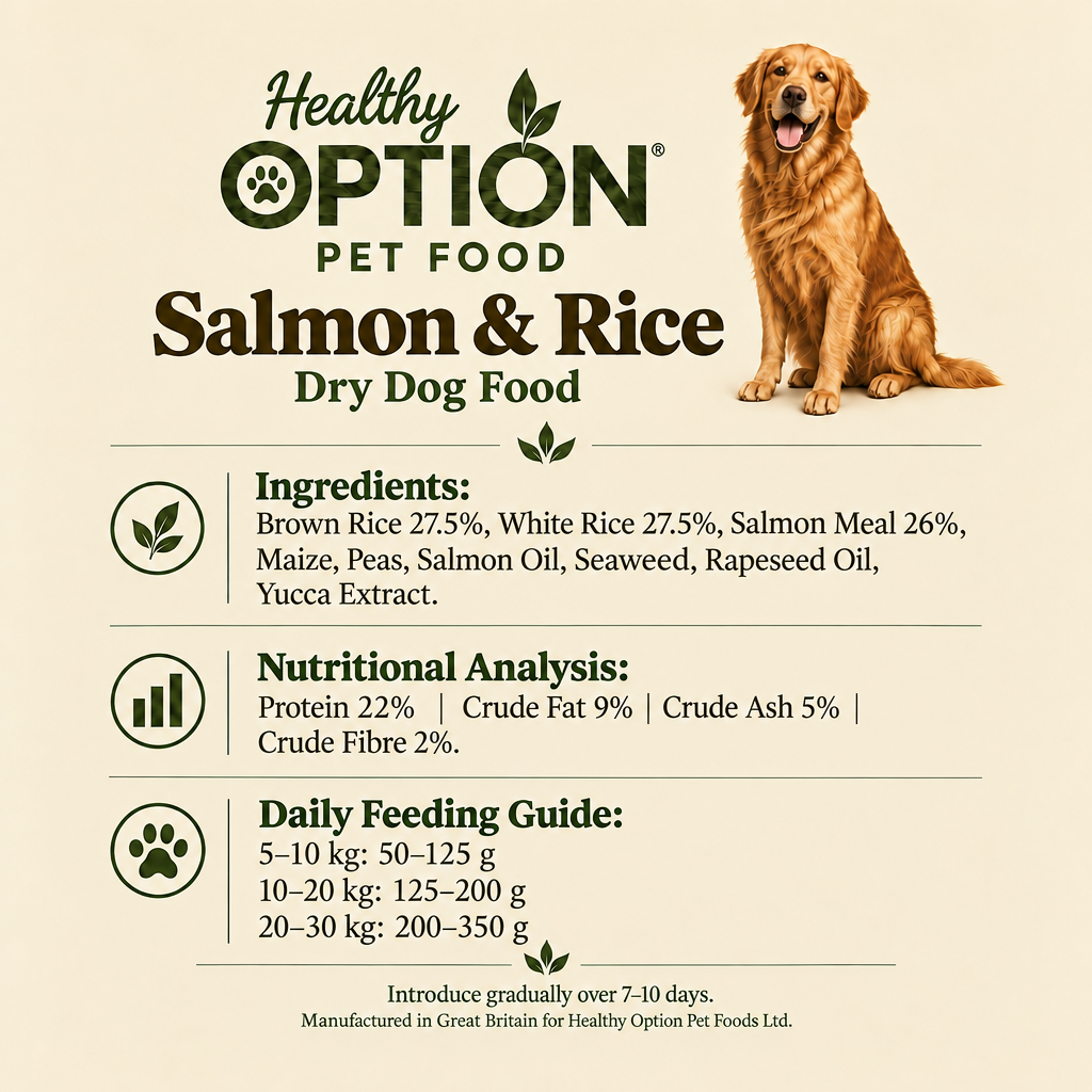 Square Healthy Option Salmon and Rice information graphic